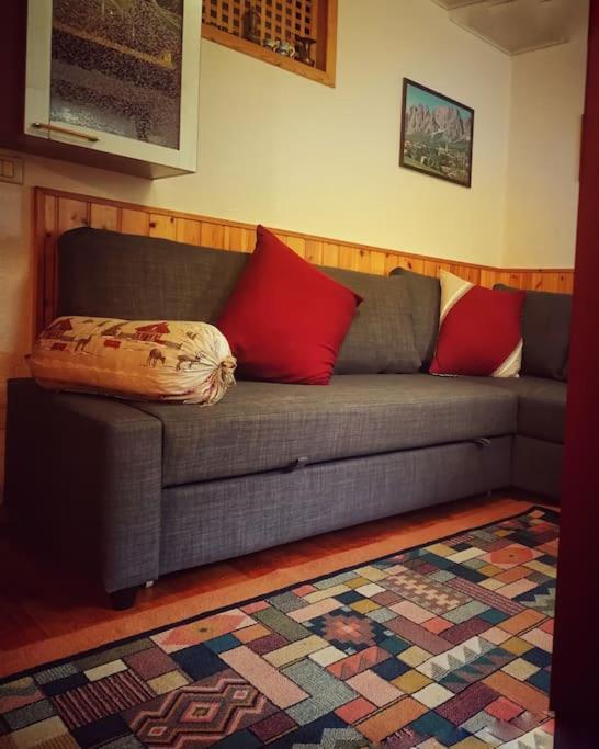 Apartamento Cozy Alpine House Di Svaizer San Martino Di Castrozza Exterior foto